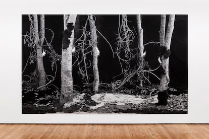 Imagen pertenieciente a la exposición 'Soy Fuego' de Hannah Collins. Cortesía de la Galería Prats Nogueras Blanchard (Madrid).