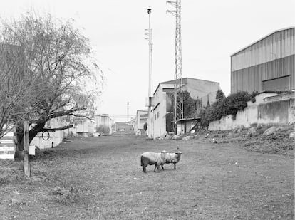 Fotografía sin título perteneciente a la serie 'Camiño negro', 2017-2019.