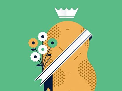 ¿Qué sabes de alimentación?