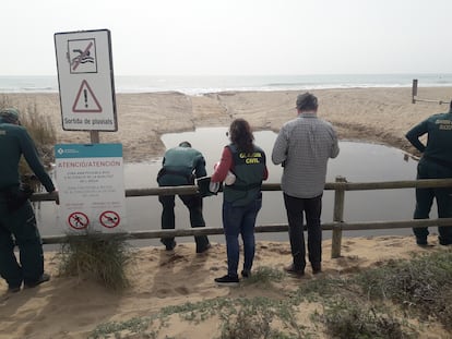 Agentes del Seprona toman muestras en la playa de Castelldefels el pasado jueves.