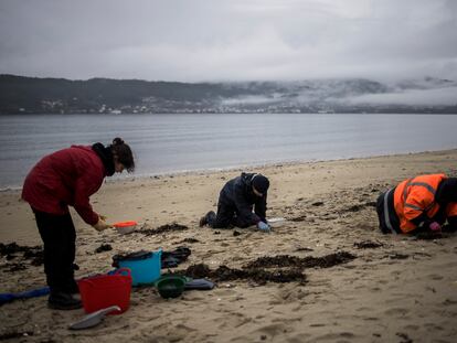 Varios voluntarios recogen 'pellets' en la playa de Boa, en la ría de Muros y Noia, el 10 de enero.