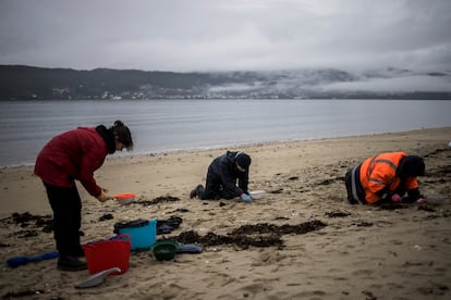 Varios voluntarios recogen 'pellets' en la playa de Boa, en la ría de Muros y Noia, el 10 de enero.