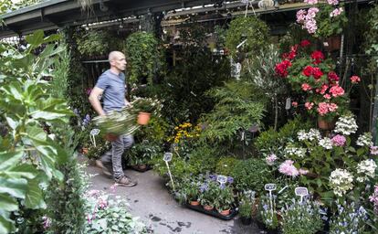 Uno de los puestos en el mercado de flores de la plaza Louis Lépine.