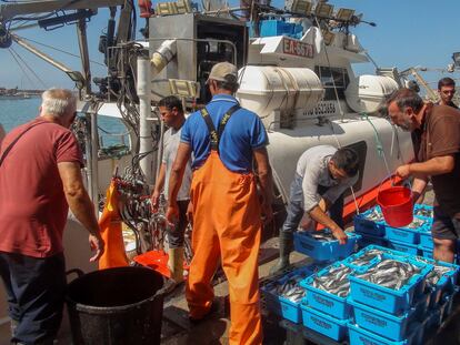 El barco 'Playa Yerbabuena', después de estrenar el acuerdo de pesca entre la UE y Marruecos en 2021, de regreso al puerto de Barbate tras faenar en aguas marroquíes.