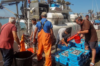 Marruecos entra en la campaña del 23J: España descarta una prórroga del acuerdo pesquero sardina pulpo boquerón