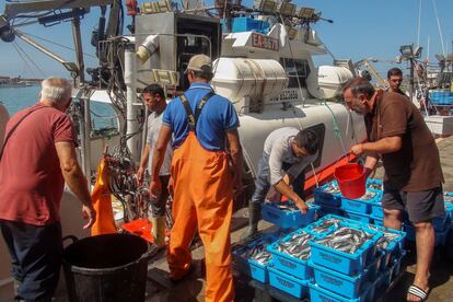 Marruecos entra en la campaña del 23J: España descarta una prórroga del acuerdo pesquero sardina pulpo boquerón