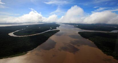 Floresta Amaz&ocirc;nica, no Par&aacute;.