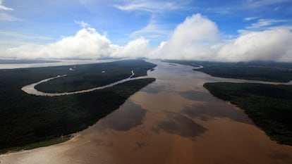 Floresta Amaz&ocirc;nica, no Par&aacute;.