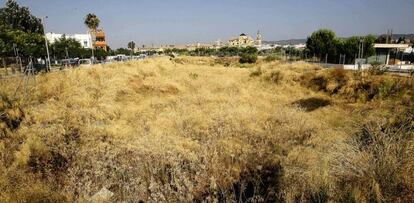 Una vista de los terrenos elegidos para el Palacio del Sur.