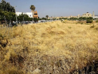 Una vista de los terrenos elegidos para el Palacio del Sur.