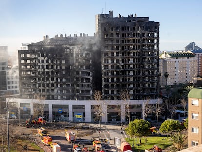 The complex in the Campanar neighborhood of Valencia that was completely destroyed by a fire.