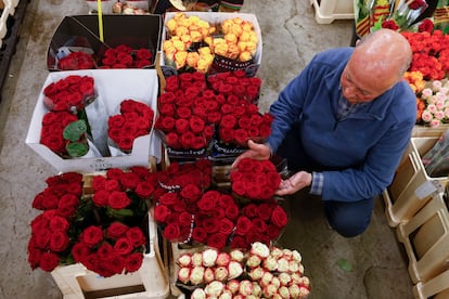 Una trabajador de Mercabarna-Flor prepara los arreglos florales para este Sant Jordi, en el que se vendan alrededor de siete millones de rosas extranjeras.