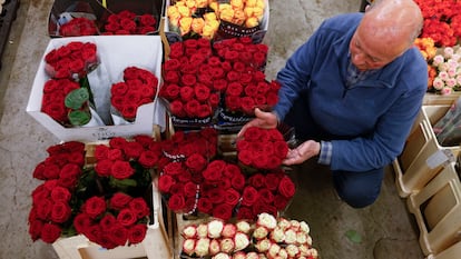 Una trabajador de Mercabarna-Flor prepara los arreglos florales para este Sant Jordi, en el que se vendan alrededor de siete millones de rosas extranjeras.