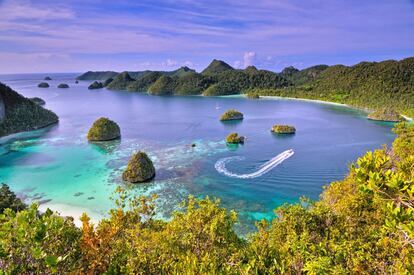 Situadas frente a la costa noroeste de Papúa, las remotas islas de Raja Ampat aún están siendo descubiertas y son un paraíso para submarinistas. Atesoran la mayor diversidad de vida marina del planeta, desde mantas gigantes hasta tiburones hombrera, que utilizan las aletas para 'caminar' por el lecho marino. Es un paisaje de selva, con abrasadoras playas de arena blanca, lagunas ocultas, cuevas inquietantes e islotes con forma de hongo. Las cuatro islas más grandes son Waigeo, al norte, con su nueva capital, Waisai, que crece rápidamente; Salawati, al suroeste de Sorong; Batanta, frente al norte de Salawati, y Misool, al suroeste. Entre Waigeo y Batanta están muchos de los mejores enclaves del submarinismo del lugar.