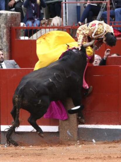 El torero Miguel Ángel Perera en el momento de ser cogido por el tercer toro durante el quinto festejo de la Feria de la Virgen de la Vega.