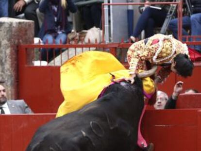 El torero Miguel Ángel Perera en el momento de ser cogido por el tercer toro durante el quinto festejo de la Feria de la Virgen de la Vega.