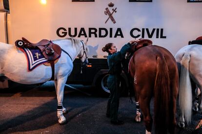 Una guardia civil prepara a uno de los caballos que va a desfilar en la parada militar del 12 de octubre.