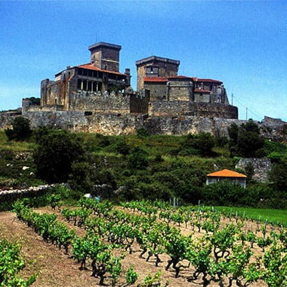 Al pie del castillo de Monterrei se sitúan los viñedos de Roberto Verino.