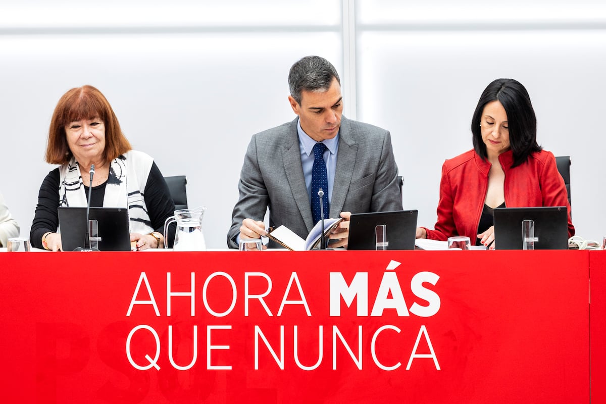 Sánchez evita la autocrítica mientras dirigentes territoriales del PSOE piden “reconectar” con la sociedad | Elecciones Andalucía | EL PAÍS