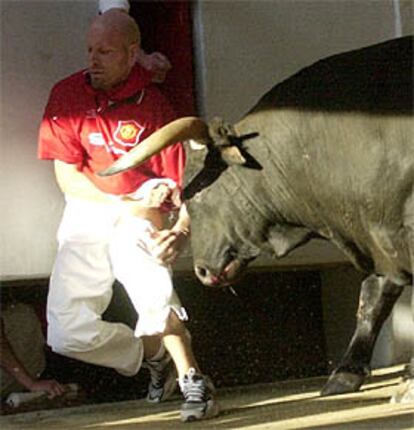 Un toro embiste a un corredor en el callejón de la plaza de toros.