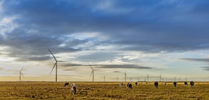 Parque eólico de Gellibrand, ejecutado por Acciona en Australia.