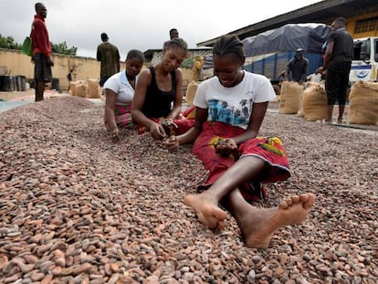 Um grupo de mulheres seleciona grãos de cacau em Abidjã, Costa do Marfim.