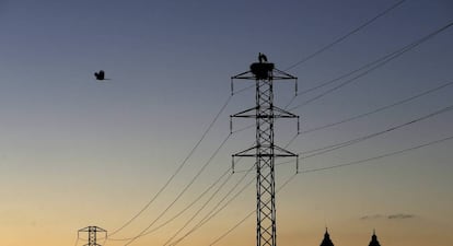 Dos cigüeñas permanecen en el nido de la torre de un tendido eléctrico.