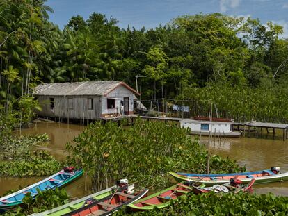 Marajó, isla situada en la desembocadura del Amazonas, en Brasil.