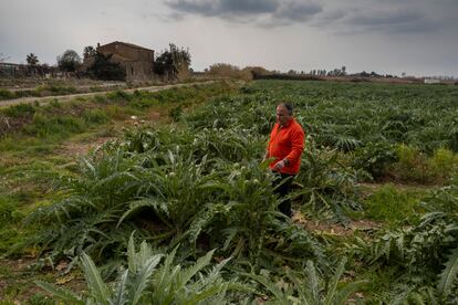 agricultura cataluña