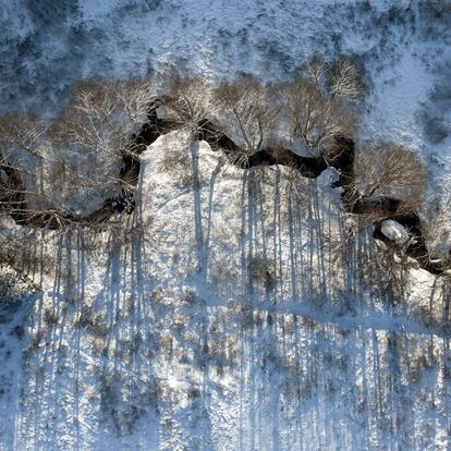 Un arroyo serpentea entre los árboles congelados.