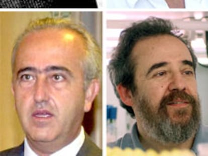De izquierda a derecha (arriba) Aguilar y López Otín. Abajo, Pellicer y Navarro.