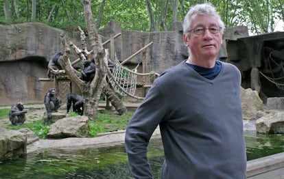 Frans de Waall, ayer en el recinto de los chimpancés del zoo.