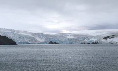 Glaciares en islas Shetland del Sur.