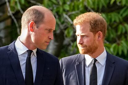 Britain's Prince William and Britain's Prince Harry