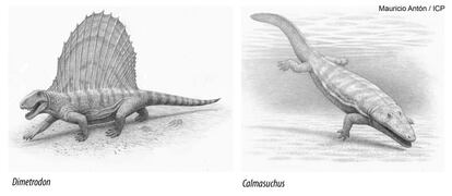 Reconstrucci&oacute;n de Dimetrodon y de Calmasuchus, dos de los animales que dejaron sus huellas en el Valle de Manyanet.