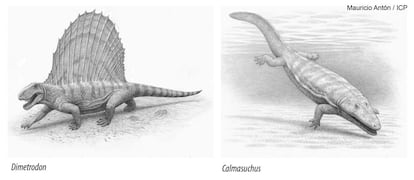 Reconstrucci&oacute;n de Dimetrodon y de Calmasuchus, dos de los animales que dejaron sus huellas en el Valle de Manyanet.