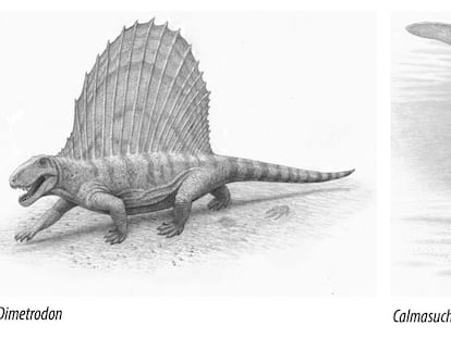 Reconstrucción de Dimetrodon y de Calmasuchus, dos de los animales que dejaron sus huellas en el Valle de Manyanet.