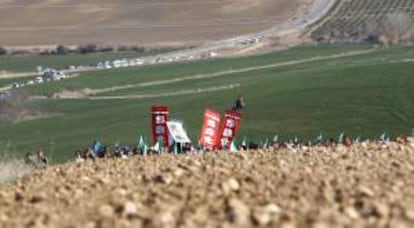 Alrededor de medio millar de jornaleros, convocados por el Sindicato Andaluz de Trabajadores (SAT), ocupan una finca pública en Palma del Río (Córdoba) para evitar su subasta por la Junta de Andalucía. EFE/archivo