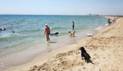 Playa de La Rubina, en Castelló d'Empùries.