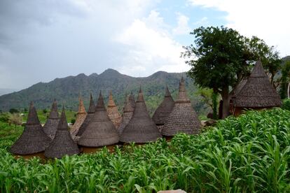 Casas rodeadas de campos de mijo en los montes Madara durante la estación de lluvias.  