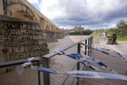 Crecida del río Guadalquivir a su paso por el Puente Romano de Córdoba, este lunes.