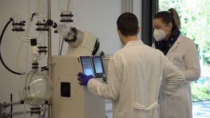 Biólogos trabajando en el laboratorio de Hifas da Terra.