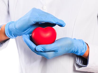 Doctor hand in sterile gloves holding heart  isolated on white background