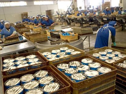 Mujeres trabajando en la planta de una conservera en Rianxo (A Coruña)