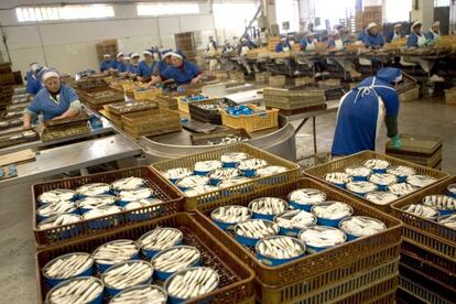 Mujeres trabajando en la planta de una conservera en Rianxo (A Coruña)