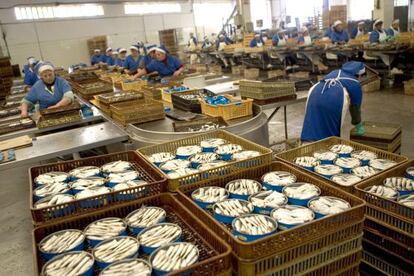 Mujeres trabajando en la planta de una conservera en Rianxo (A Coruña)