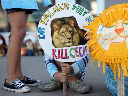 Criança protesta contra morte do leão Cecil em Minnesota, EUA, em frente à clínica do dentista Walter Palmer.