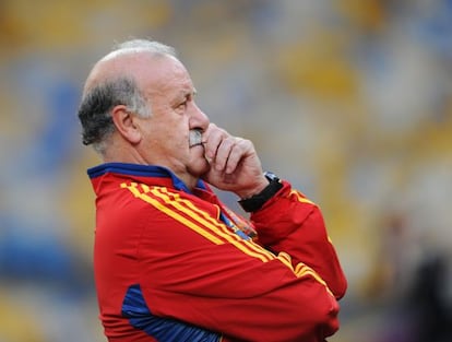 Spain coach Vicente del Bosque.