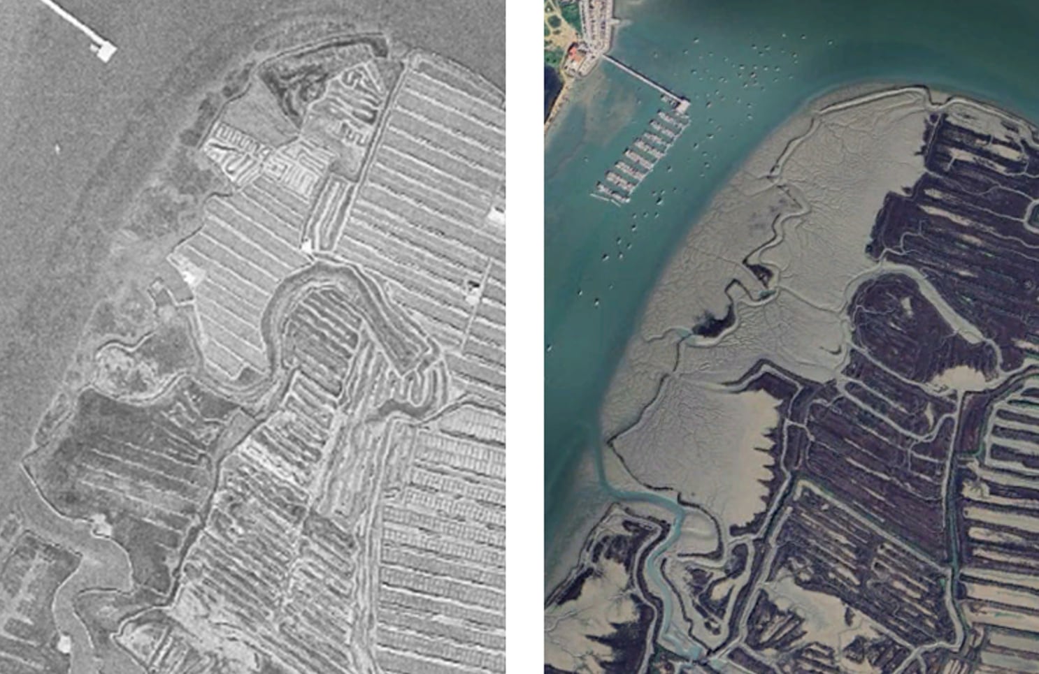 Degradación de las Salinas de San Ricardo, entre 1945 y 2026, en dos imágenes de Google Earth.