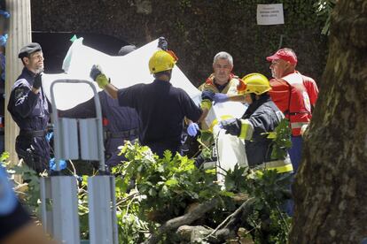 Bomberos y trabajadores de los equipos de rescate trabajan en el lugar en el que un árbol ha caído.